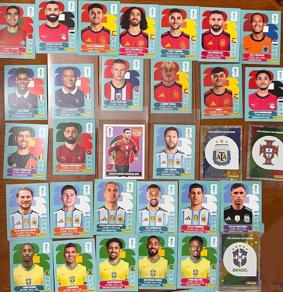 Panini 2026 World Cup Soccer F - Blister Plaster Sport ulasan dan harga
